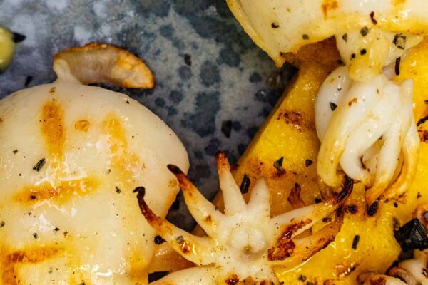 calamari-alla-piastra-pizzeria-ristorante-al-fritoin-jesolo-gallery-38